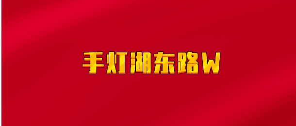 【实时同步】手灯湖东路W